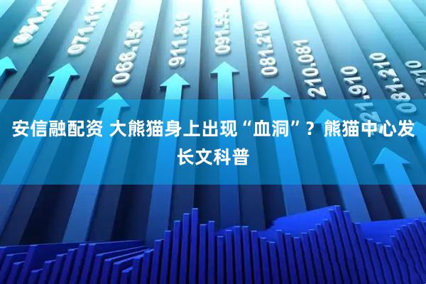 安信融配资 大熊猫身上出现“血洞”？熊猫中心发长文科普