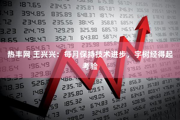 热丰网 王兴兴：每月保持技术进步，宇树经得起考验