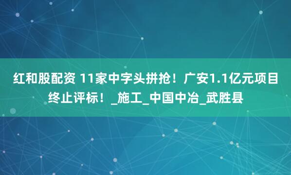 红和股配资 11家中字头拼抢！广安1.1亿元项目终止评标！_施工_中国中冶_武胜县