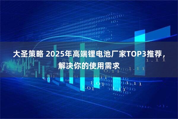 大圣策略 2025年高端锂电池厂家TOP3推荐，解决你的使用需求